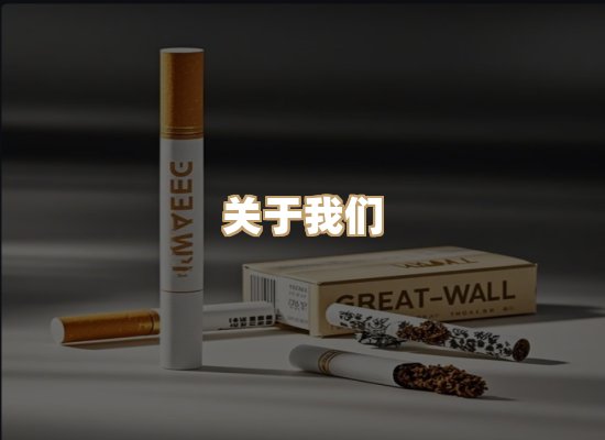 关于云歌烟网